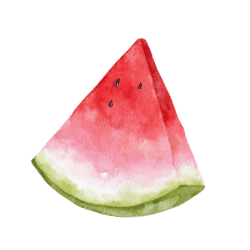 icon wassermelone