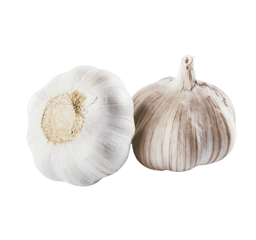 knoblauch knollen