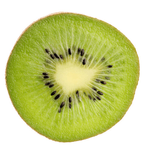 gruene kiwi aufgeschnitten