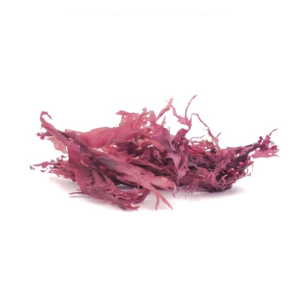 Dulse Blätter 100g Algenladen Blatt