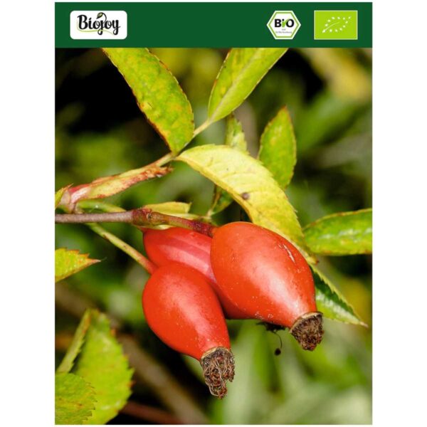biojoy hagebuttenpulver bio