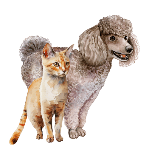 icon hund katze tiergesundheit
