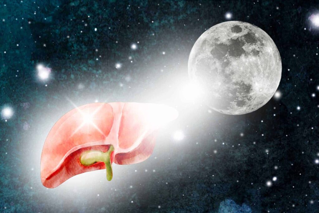 Vollmond und Leber img