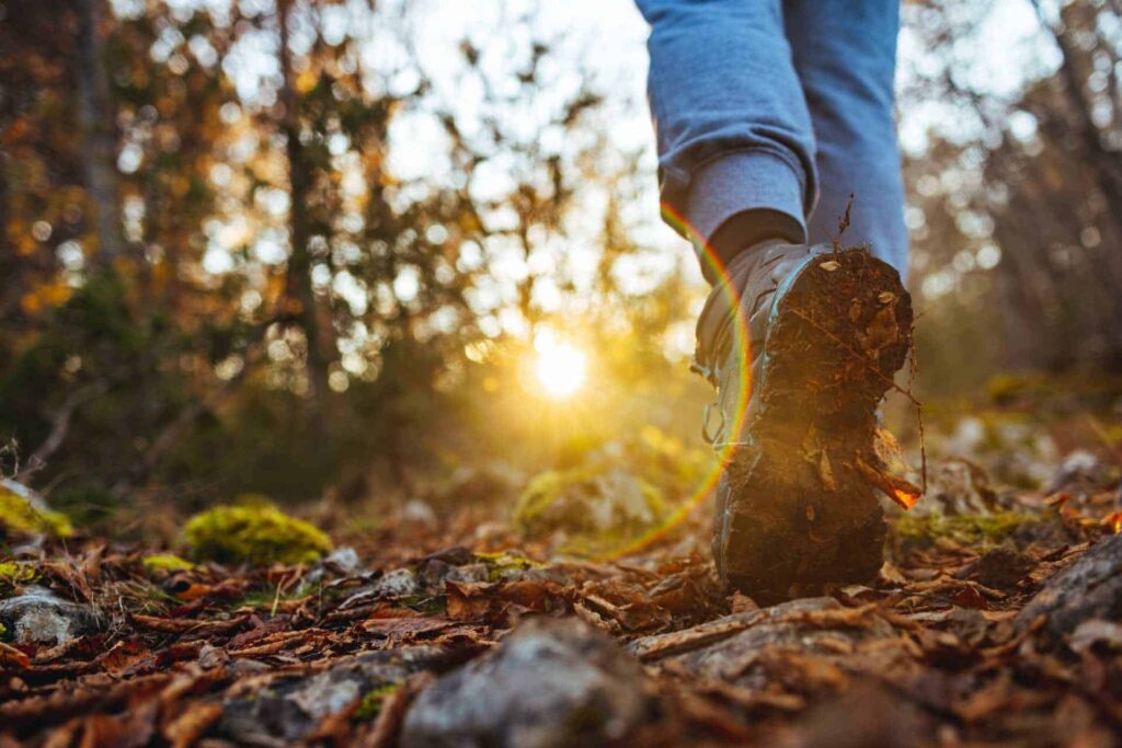 im herbst spazieren gehen img