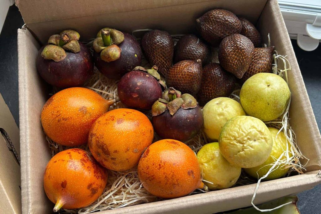Jurassic Fruit Box mit 4 kleinen exquisiten exotischen Früchten