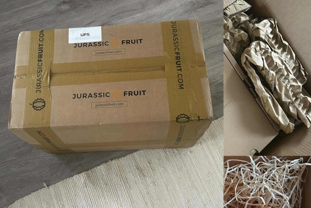 jurassic fruit erfahrung verpackung und lieferung