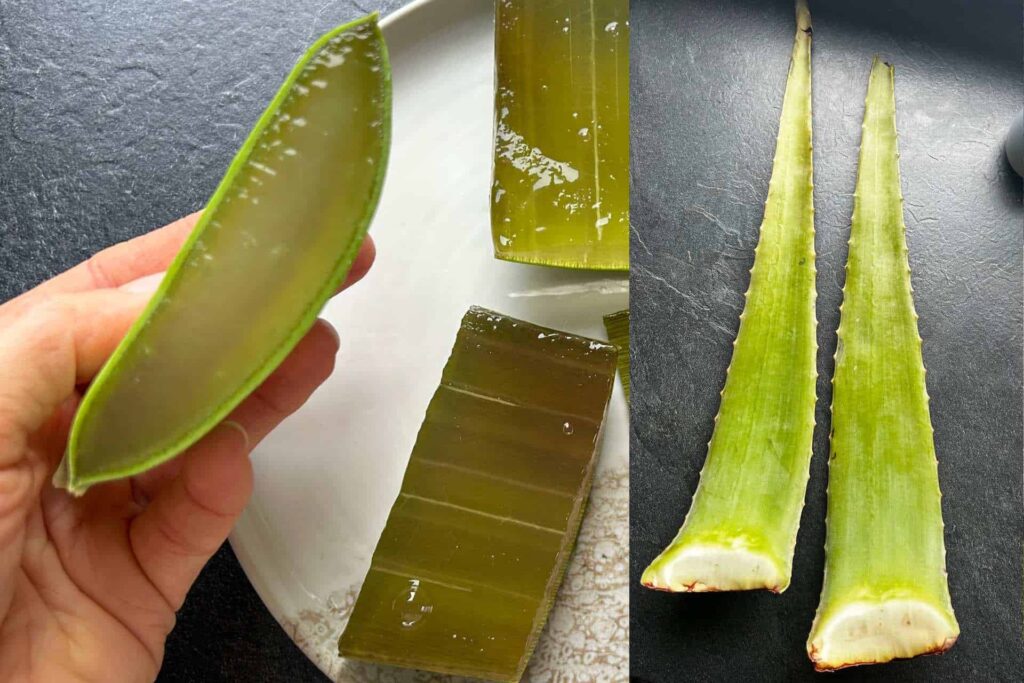jurassic fruit erfahrung aloe vera