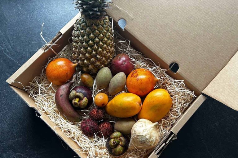 jurassic fruit erfahrung exotische früchtebox