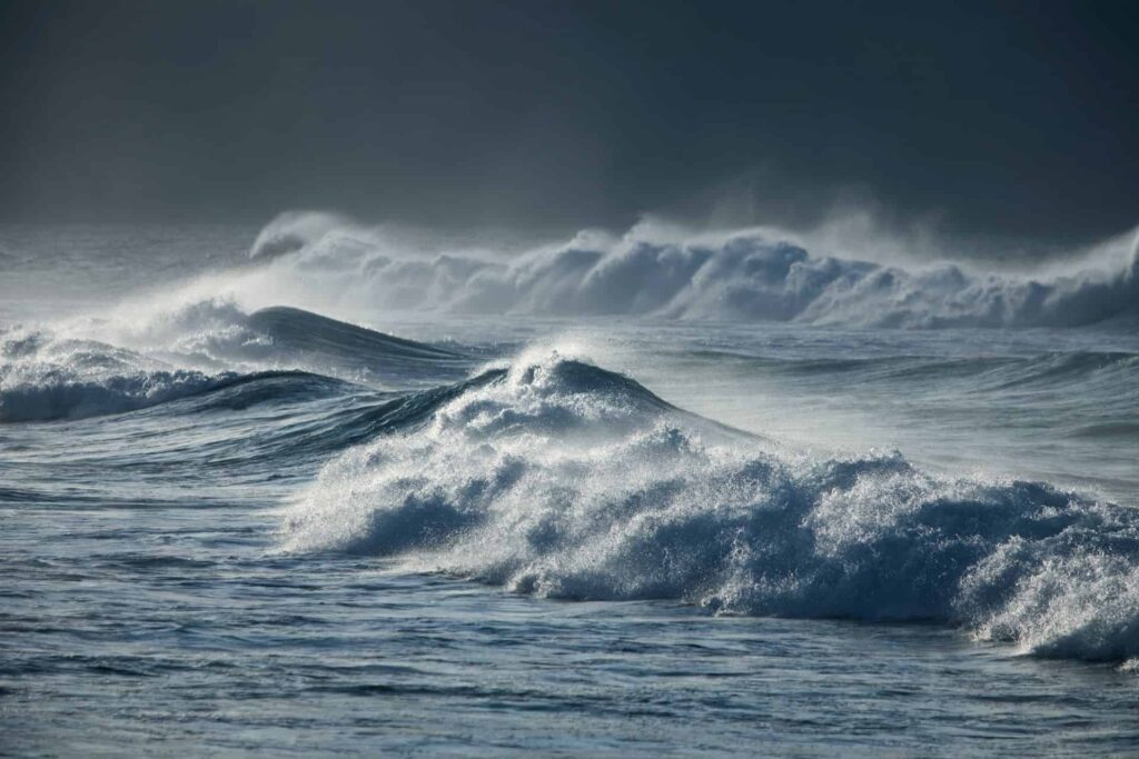 heilkraft des meeres