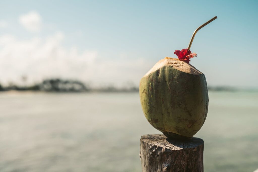 heilkraft des meeres kokosnuss