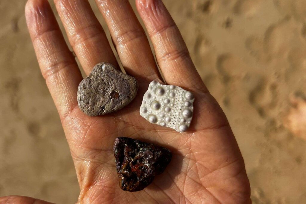 steine am meer sammeln img
