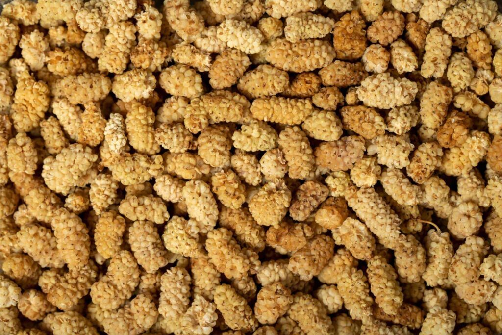 getrocknete maulbeeren