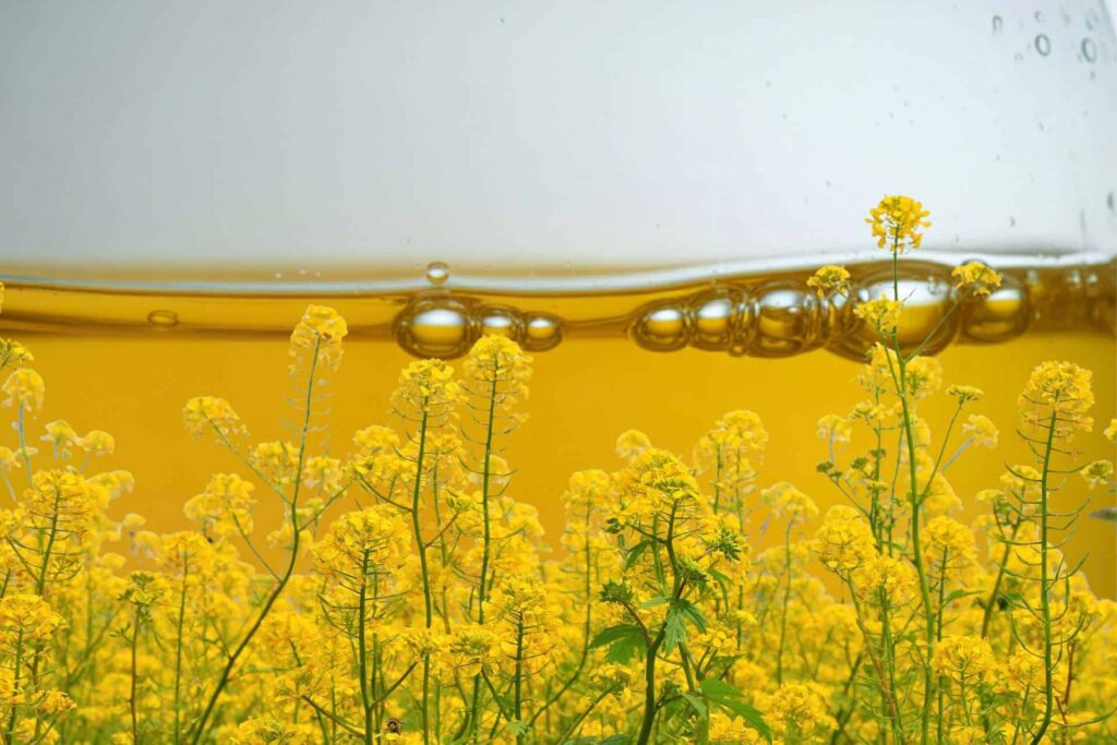 inhaltsstoffe trockenobst prüfen