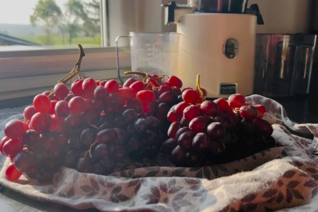 traubensaft herstellen img